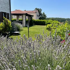 Vila Luka, Visnjan